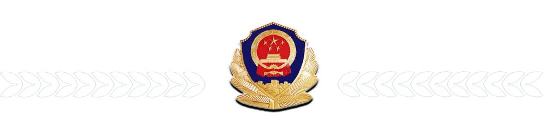 巴彦淖尔临河区警情通报,巴彦淖尔警方原视频