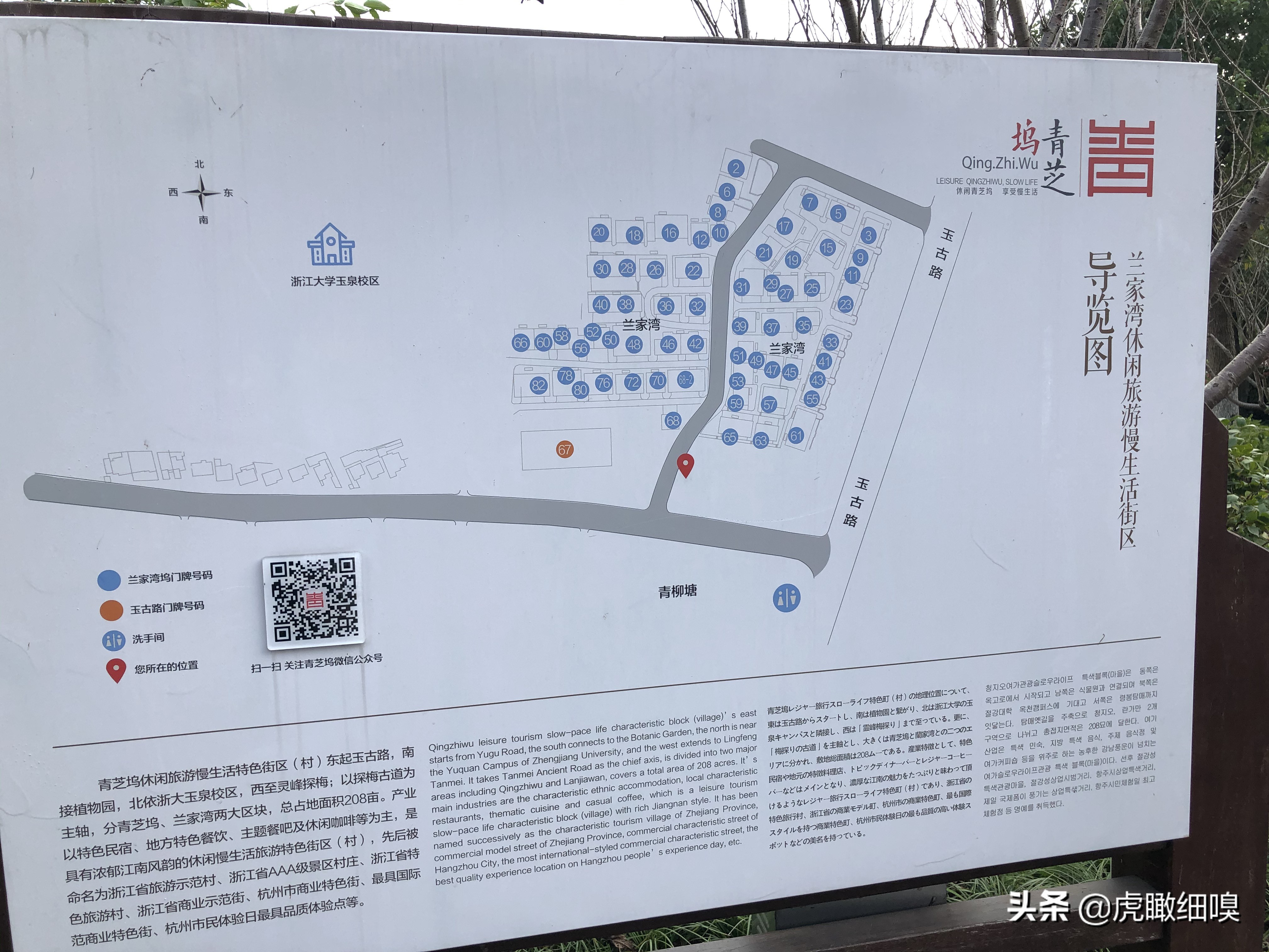 杭州最有名的茶旅,杭州盛产茶的地方有哪些