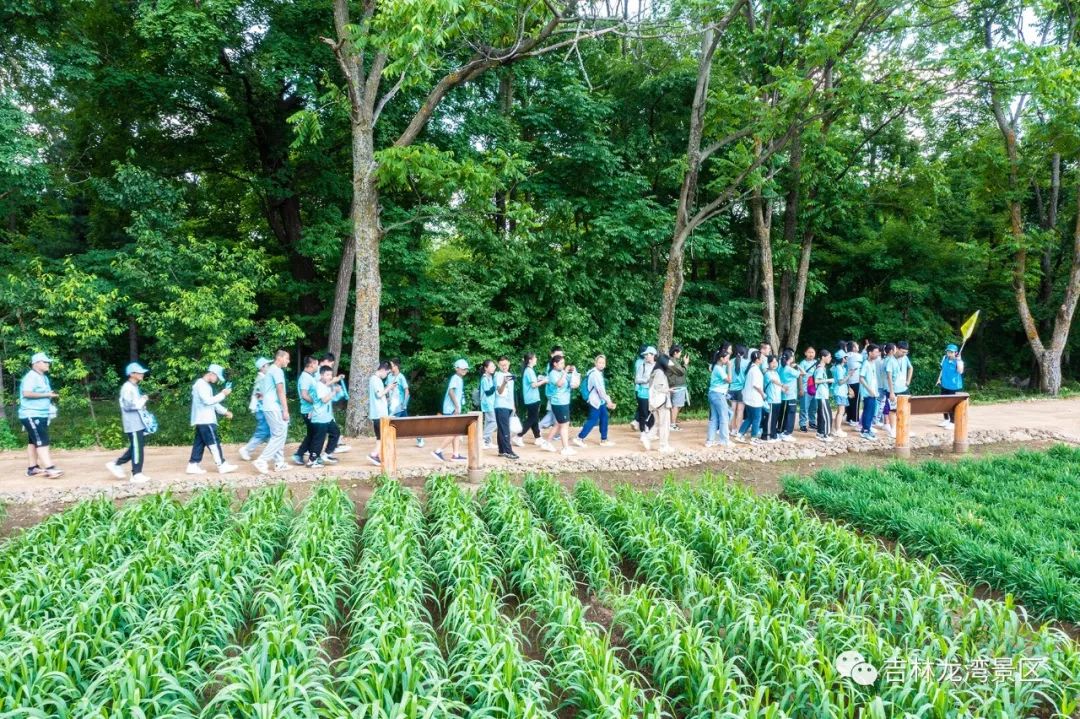 长春高新第二实验中学培育的人才,长春高新第一实验学校研学