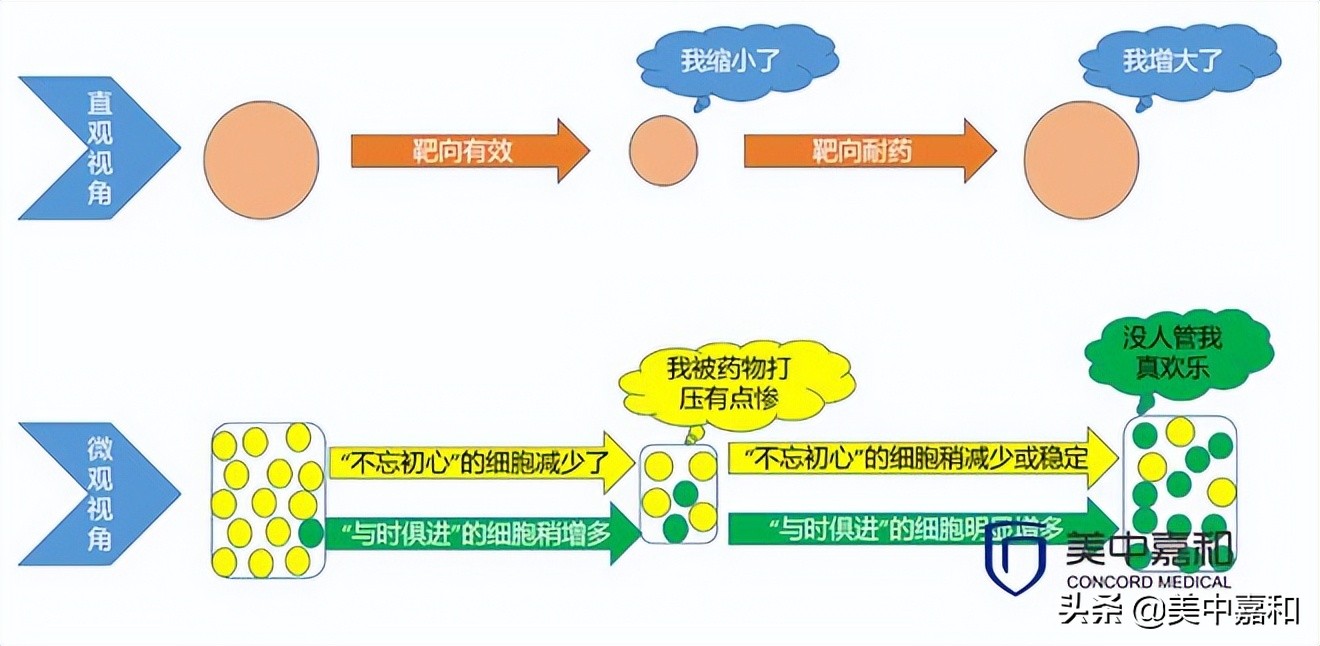 靶向药加中药治疗可以延缓耐药吗 (肺癌靶向药三代耐药吃一代有效吗)