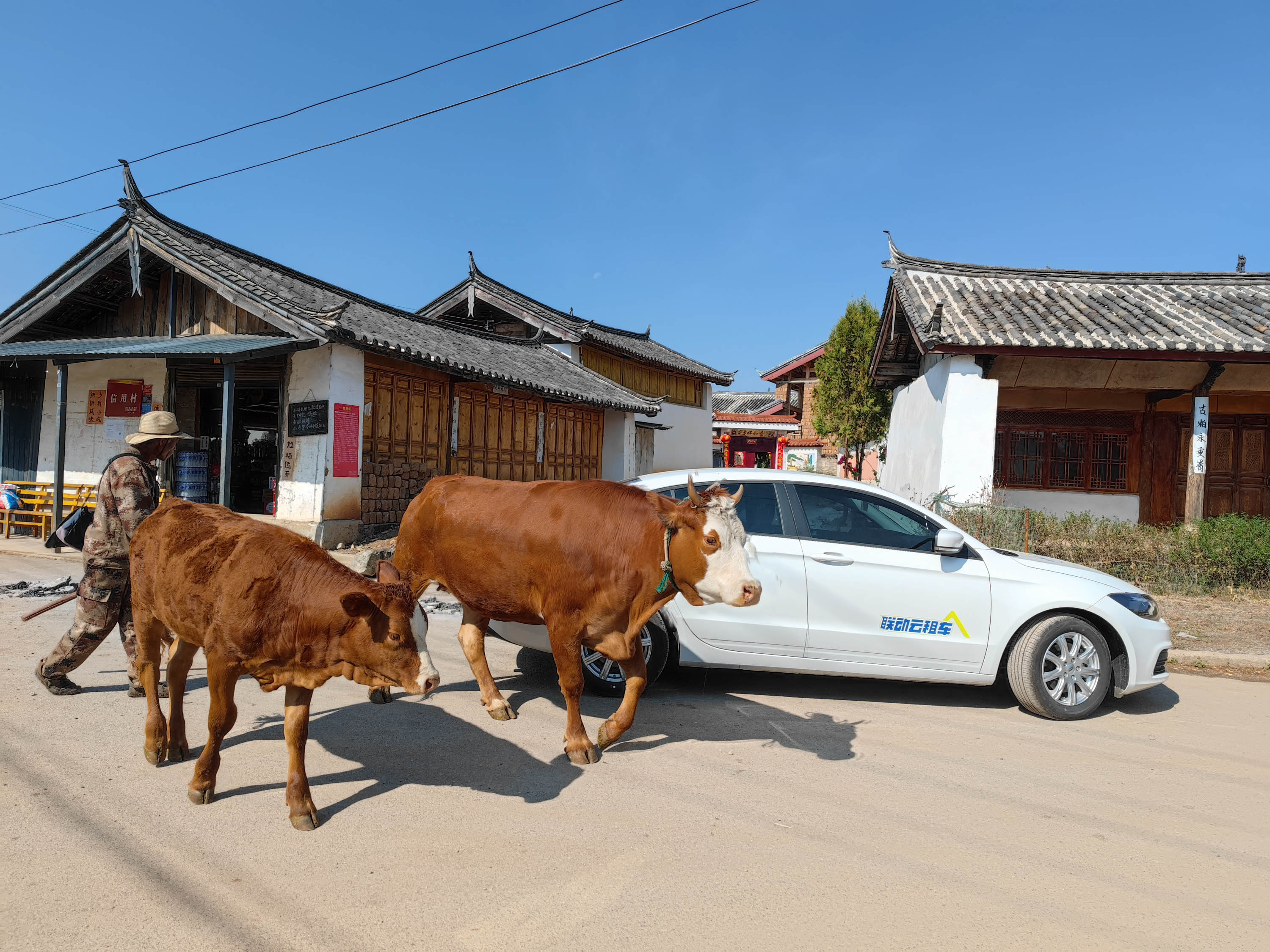 去云南跟团一日游攻略图片大全集,云南跟团六日游攻略大全图片