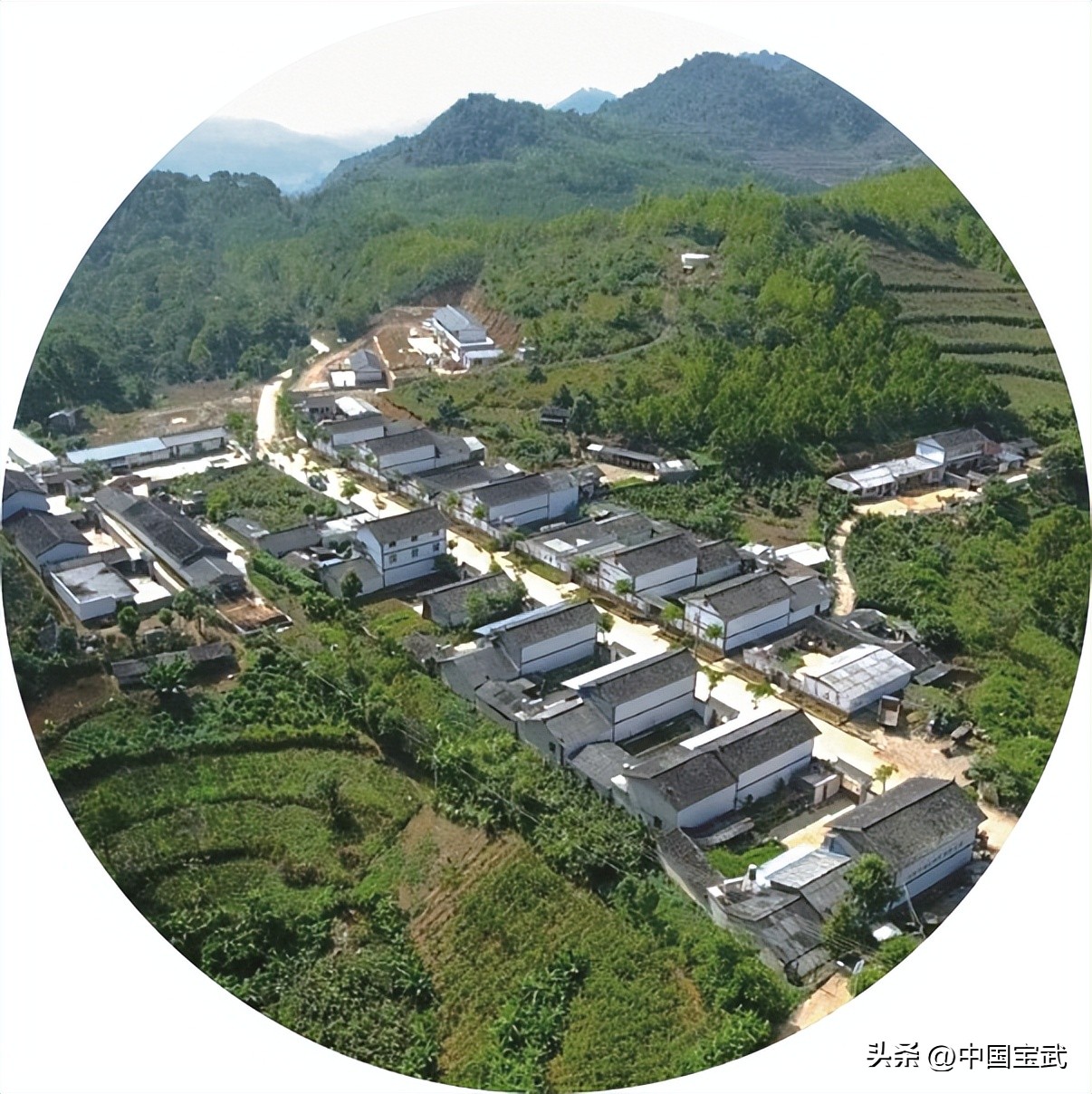 想见到最美的笑脸，请随宝武一起吧~