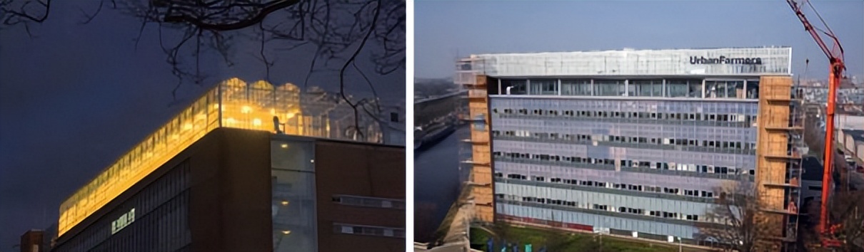 城市旧建筑屋顶的重生※——荷兰海牙德施尔德鱼菜共生农场