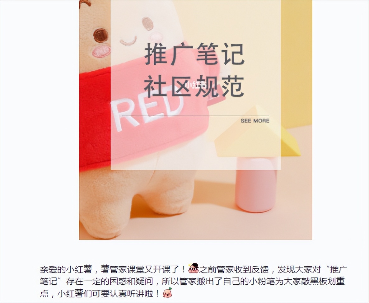 小红书违规封号规则 (小红书违规永久封号)