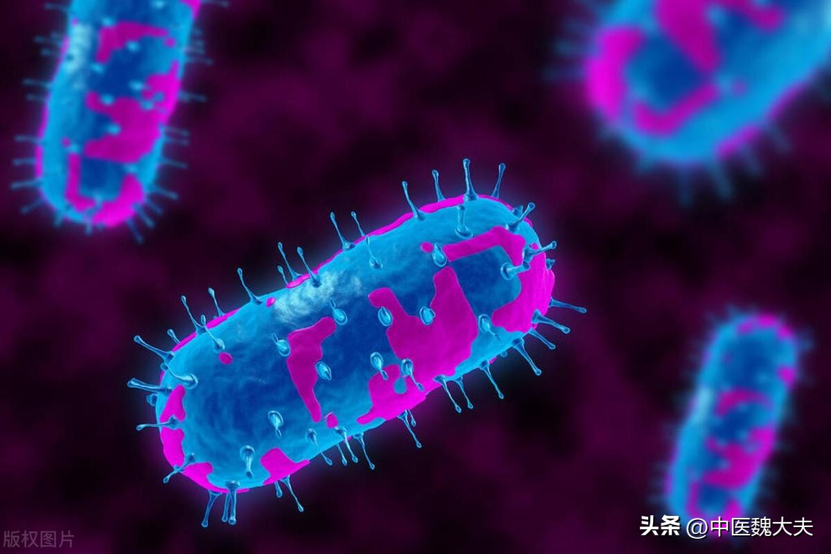 从炎症到癌症三种炎症别拖着,柳叶刀癌症治疗最新报告