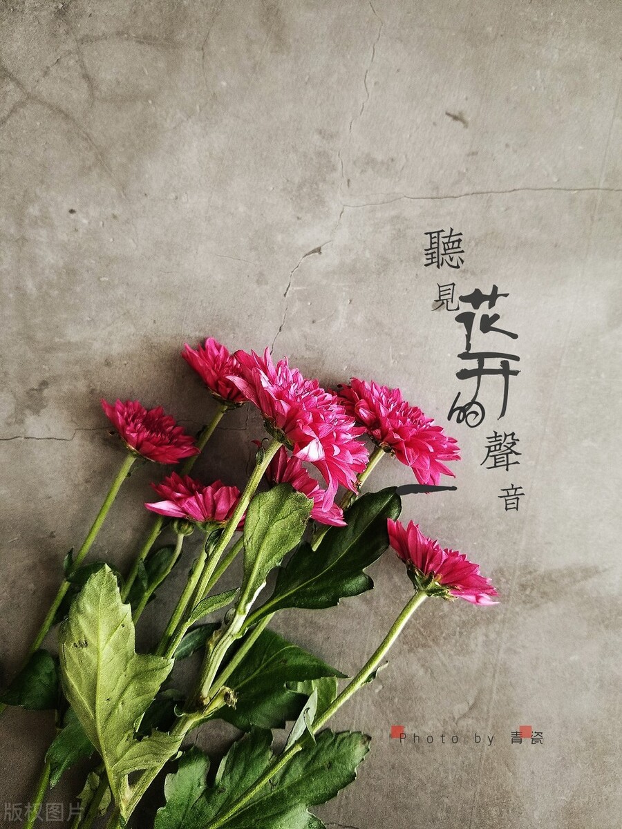 倾听流水的声音,倾听自然的声音