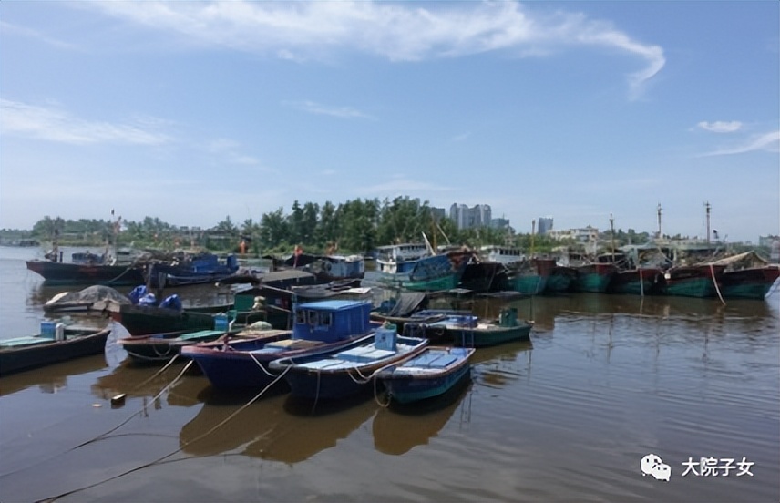 孙新生简介,孙新生