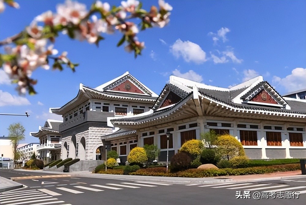 12所双一流66所大学,两所大学985211