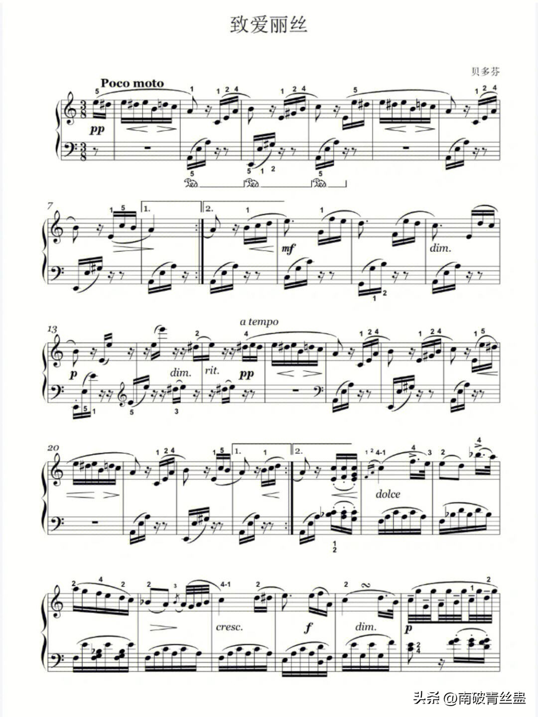 致爱丽丝是贝多芬分手后写的吗,致爱丽丝表达贝多芬怎样的感情