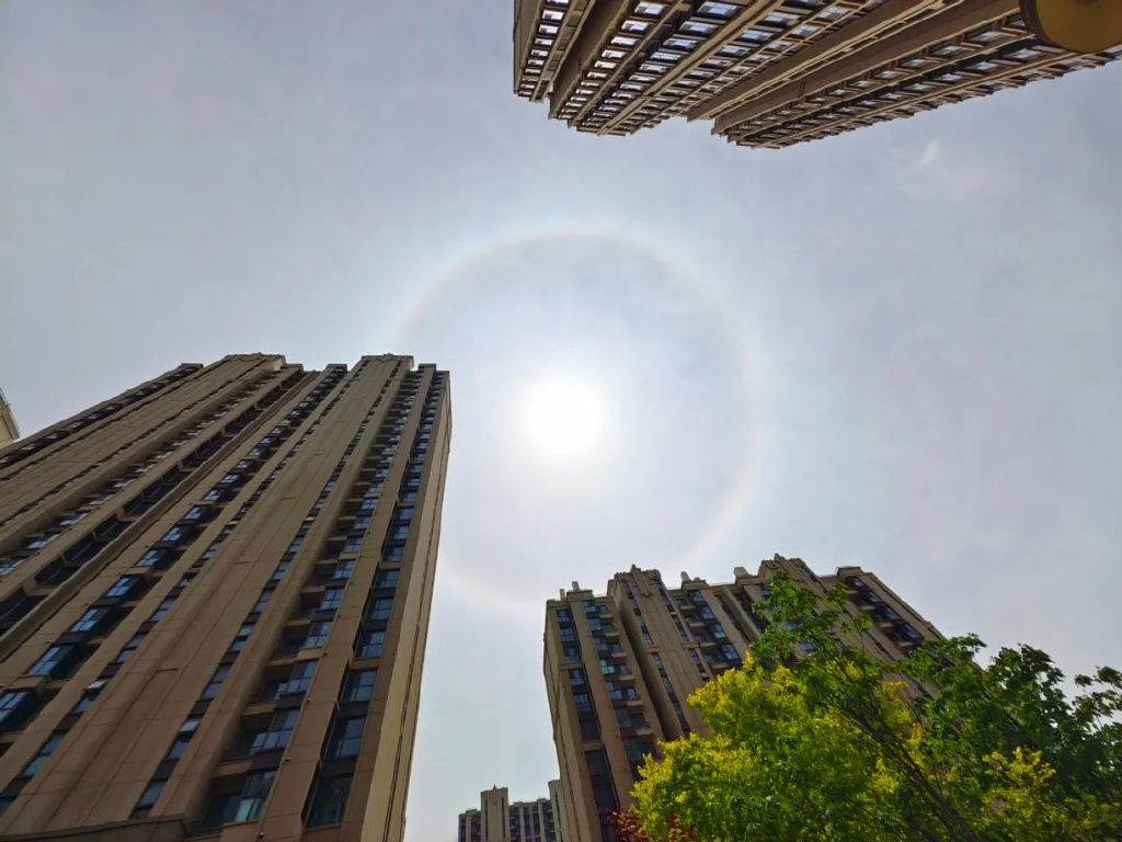 谁是影像机皇,谁才是手机机皇