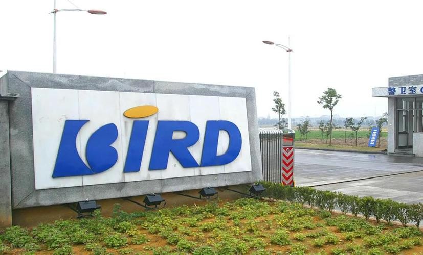 徐立华身价多少个亿,徐立华身家