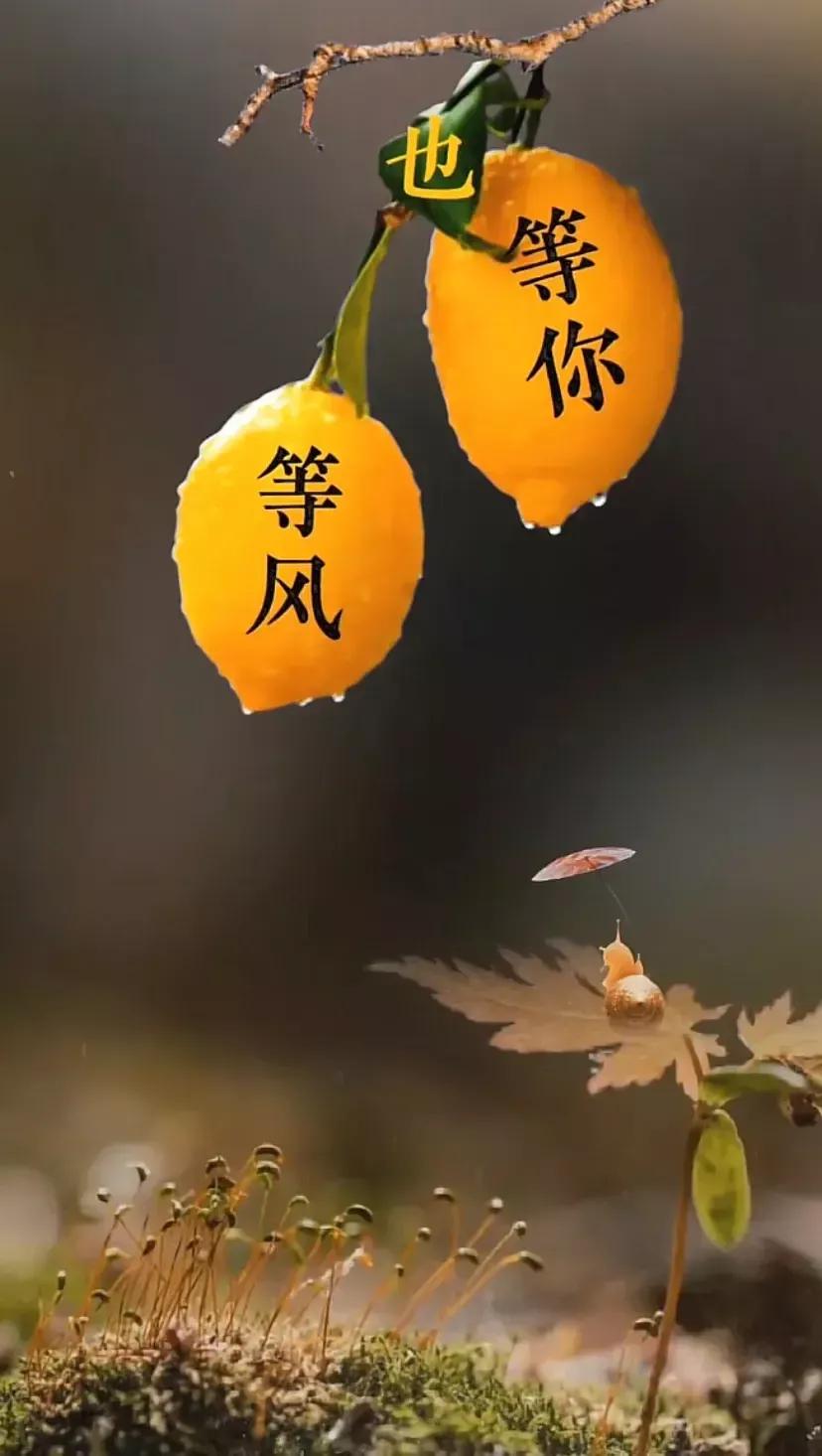 表白的文案长文案,表白文案特别长可复制