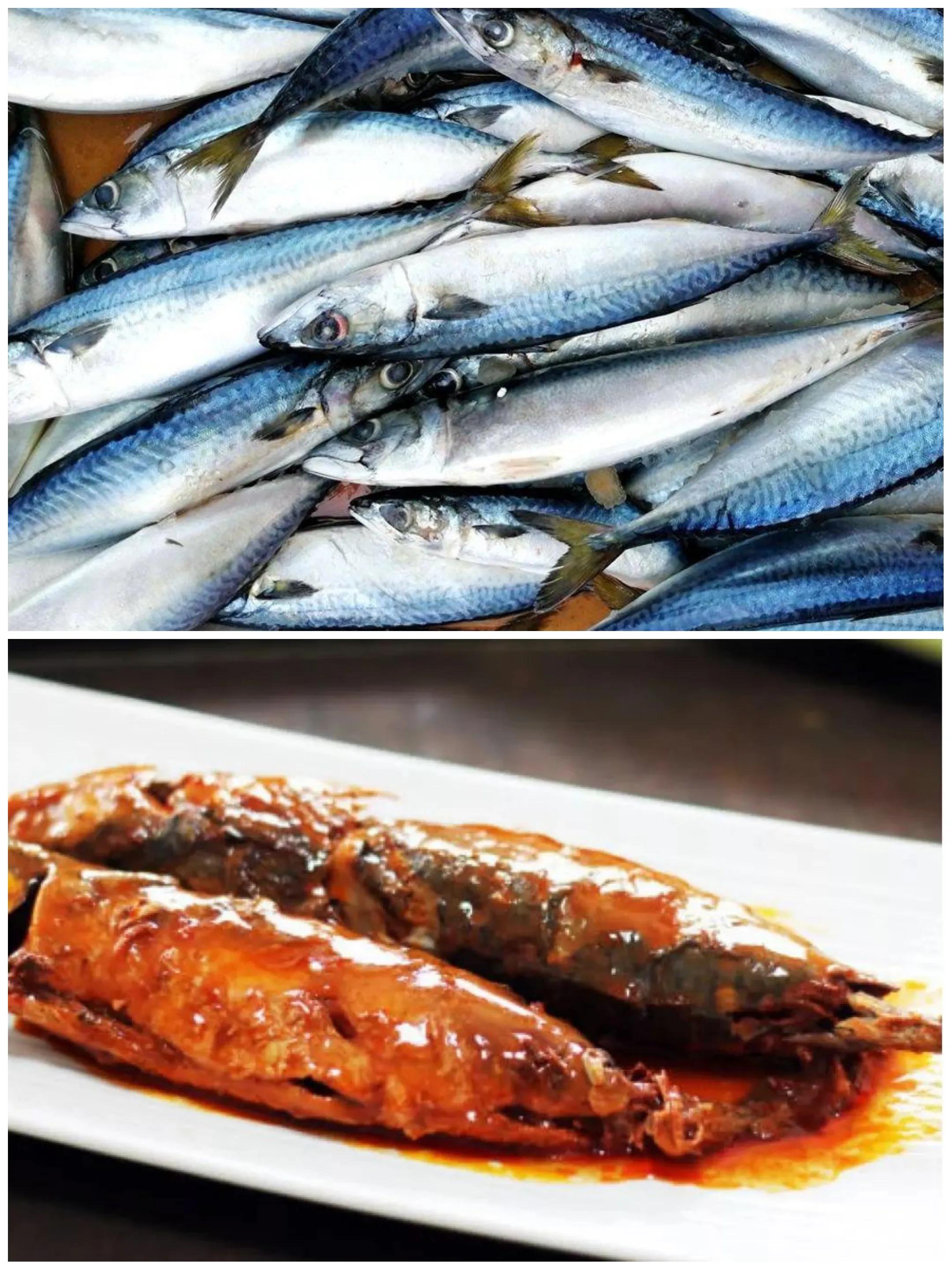 100种常见海鱼大全,常吃的海鱼图片及介绍