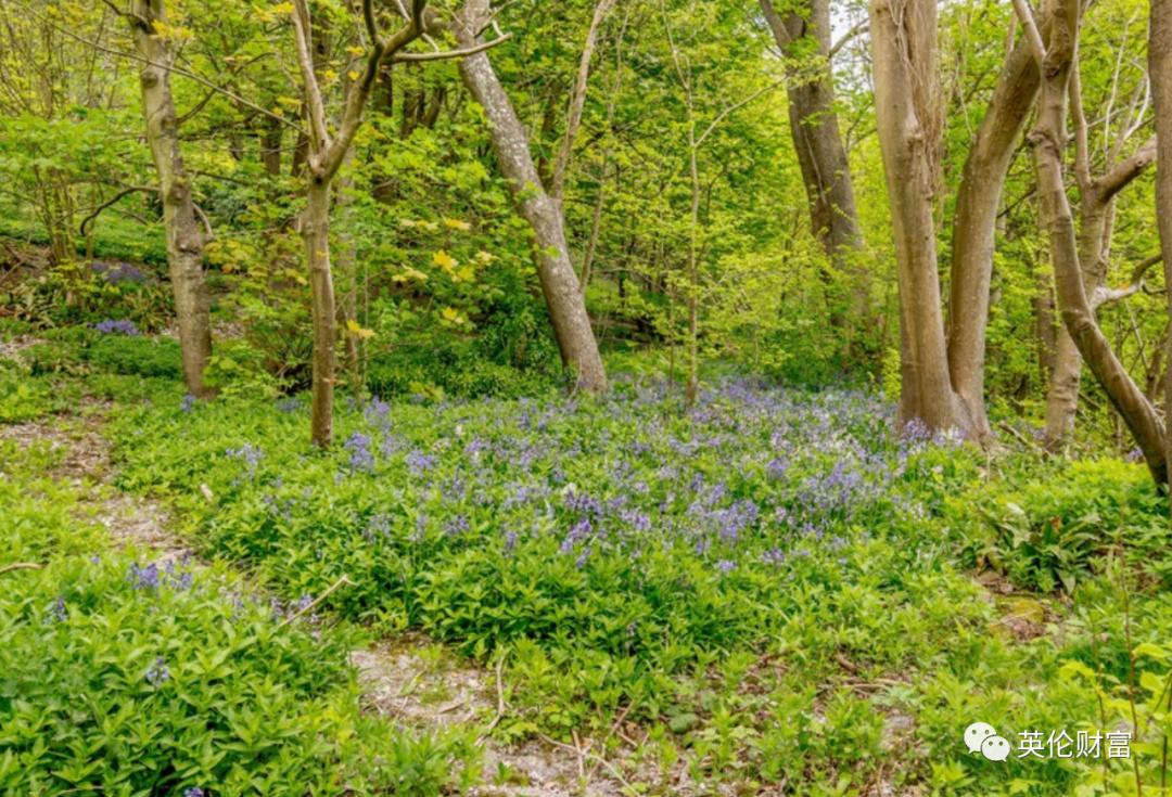 多部经典童书灵感地,肯特7居室乡村庄园别墅,标价225万镑寻新主人