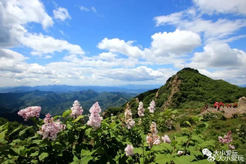 因为暴雨被淹的旅游景区,被暴雨破坏的景区