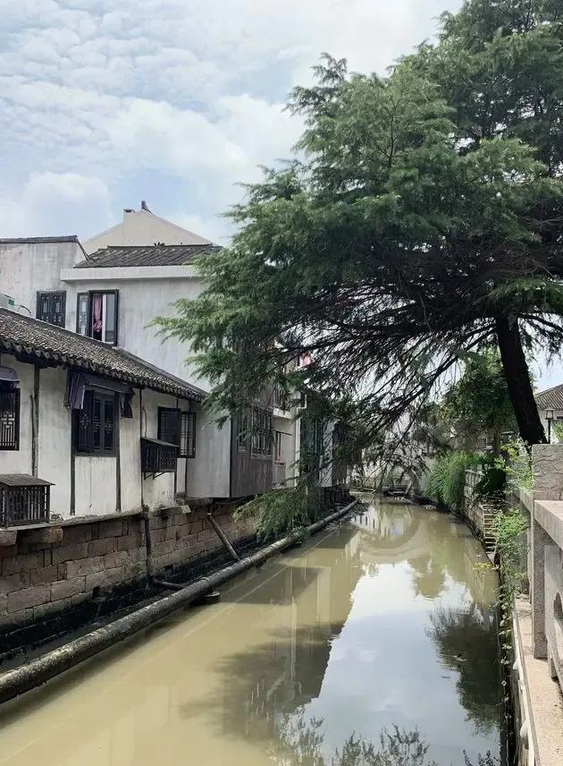 太仓浏家港视频,太仓浏河刘家巷