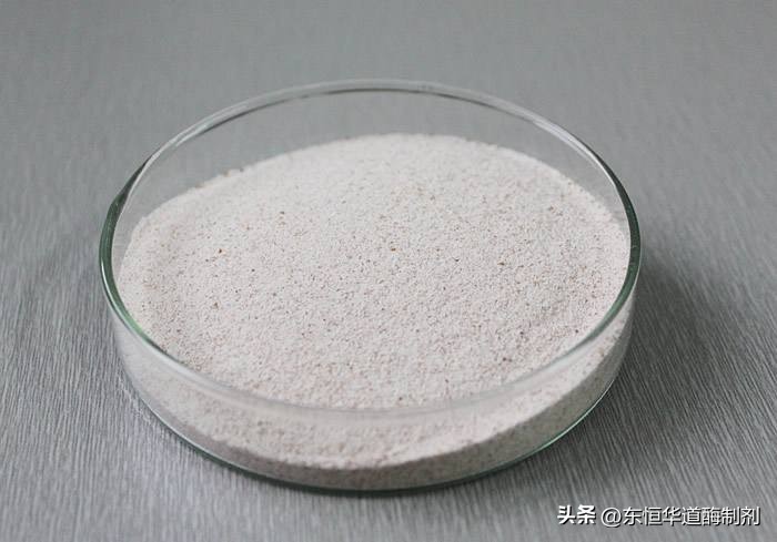 超广谱内酰胺水解酶,活性蛋白水解酶