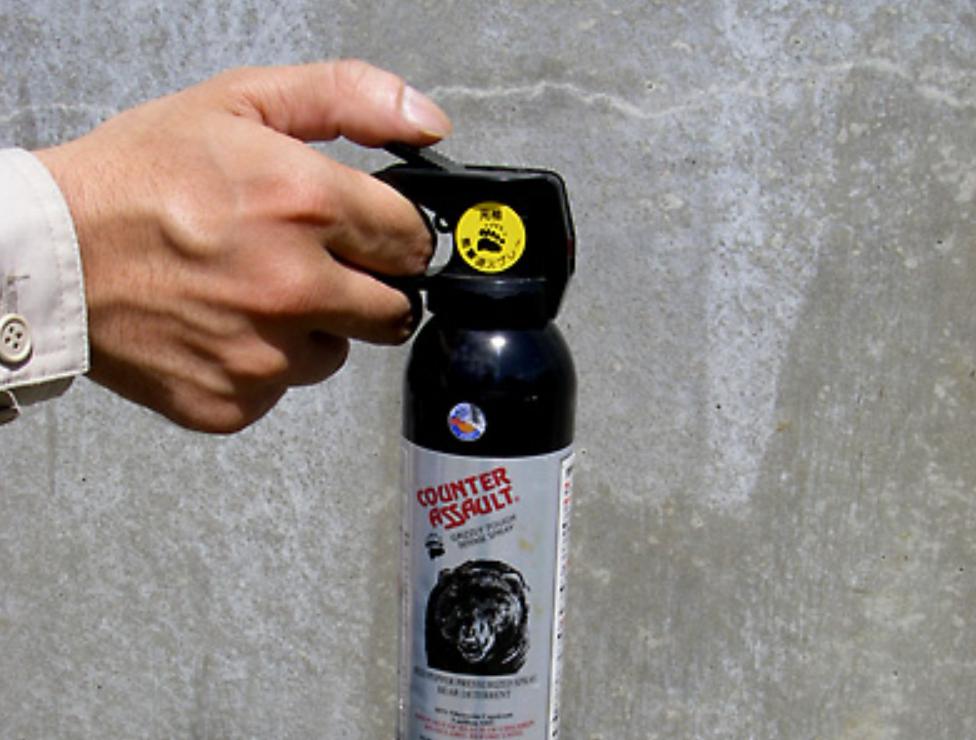 装死躲过棕熊,男子上山挖野菜遇黑熊还活着吗