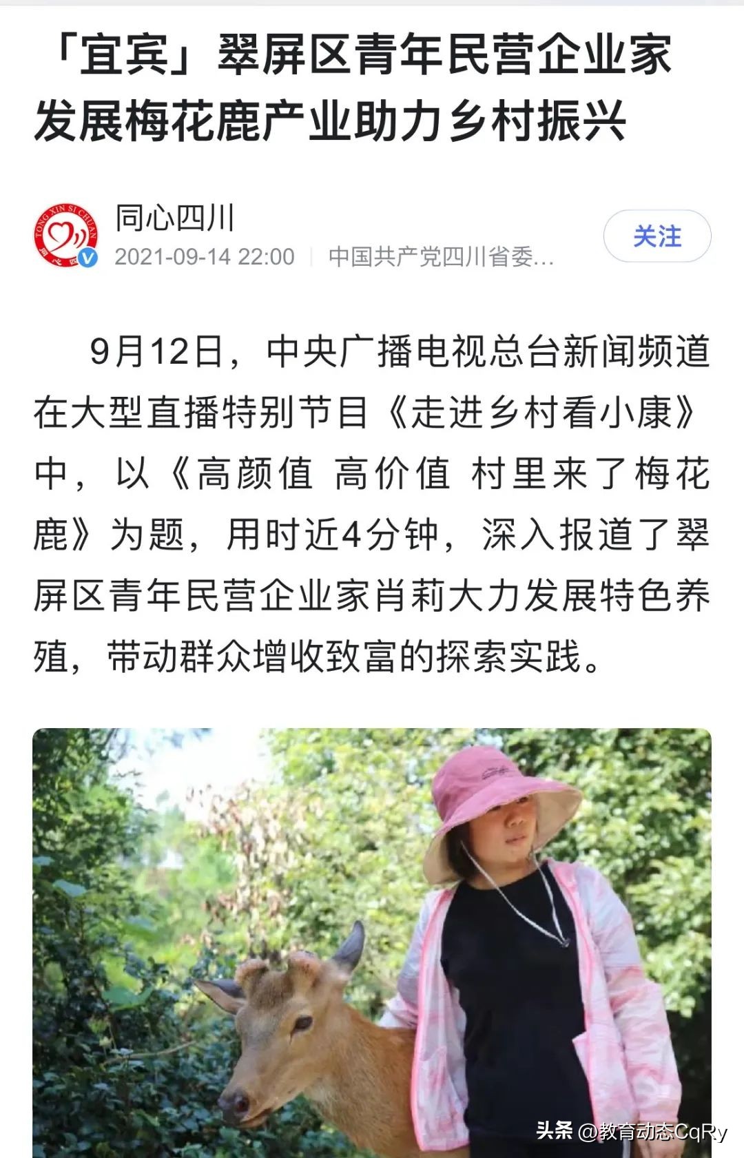 萌宠乐园报道创业青年肖莉昨日励志演讲，如今为何遭拆除要说法？