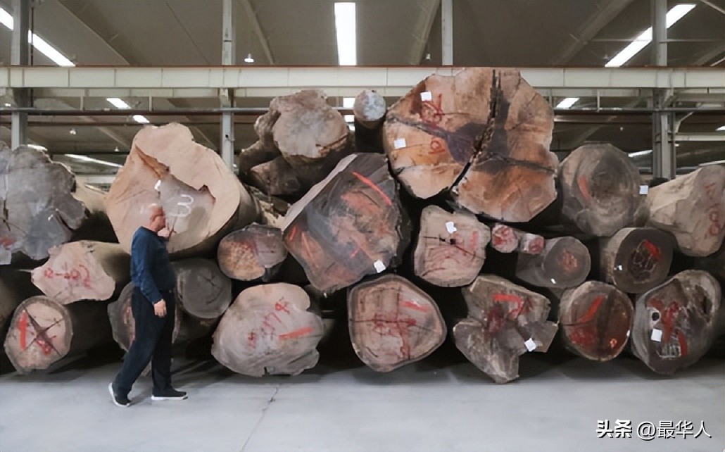 逆袭成为了千亿富豪,逆袭成千亿富豪