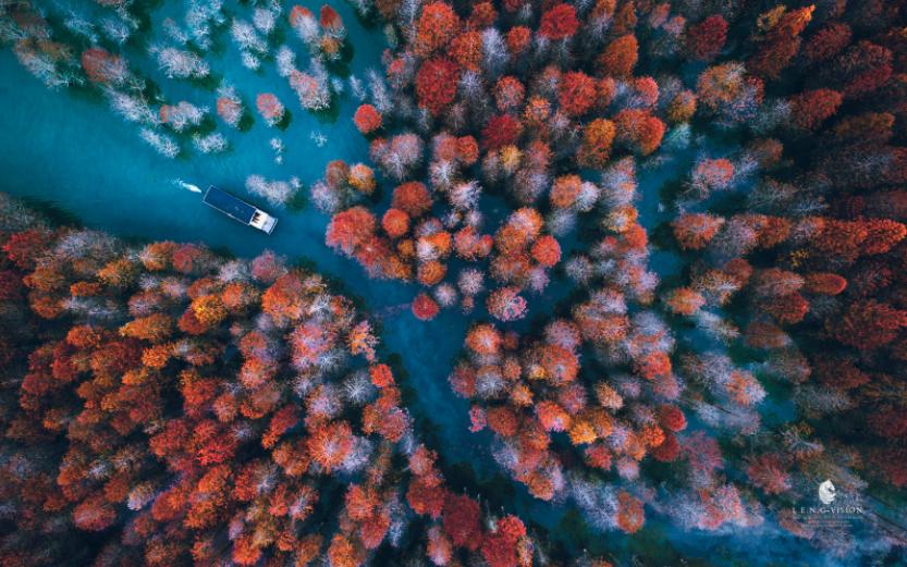 崔允漷新课程标准有四大突破视频,崔允漷新课程方案