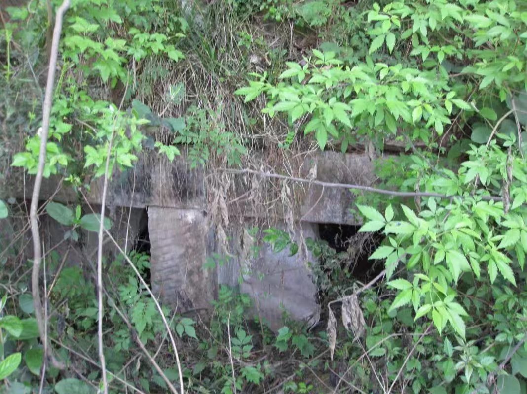 宁化谢氏寻根寻亲信息,谢氏寻根寻祖