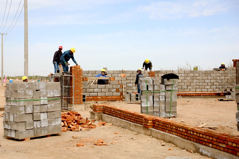 新华镇：肉牛养殖蹚出致富“牛”路子