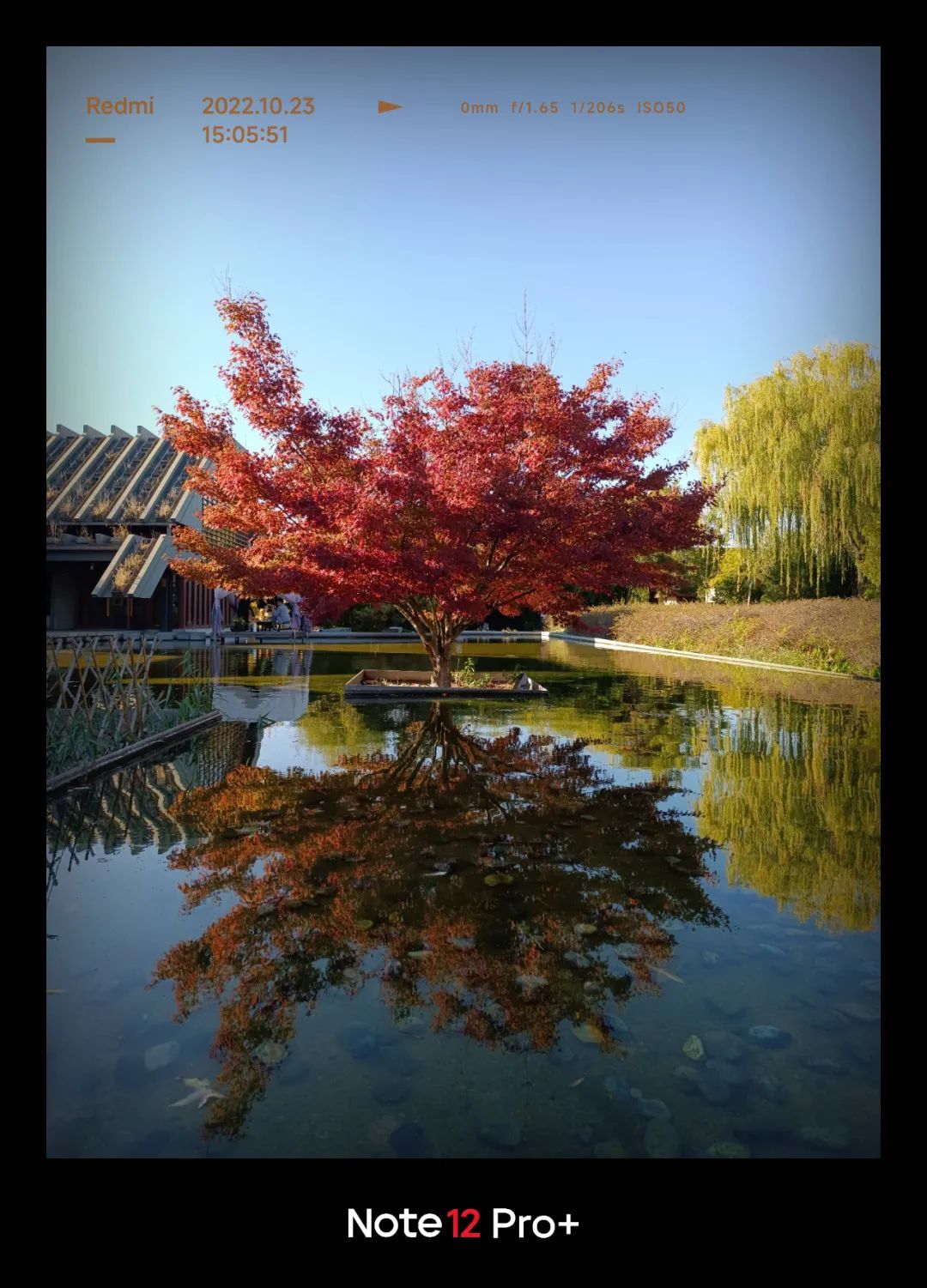 redminote11拍照效果,2亿级普通像素与5000万相机