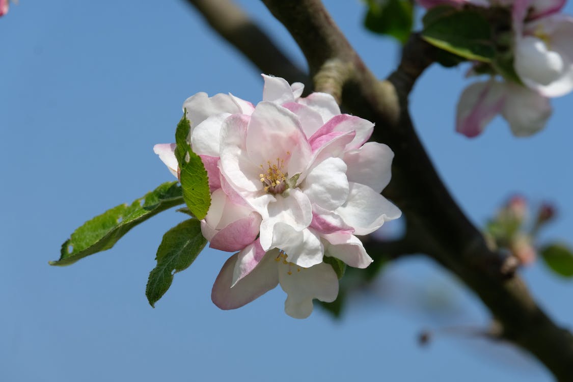 高情商女人怎样说话让男人爱上你,女人如何高情商聊天让男人上瘾