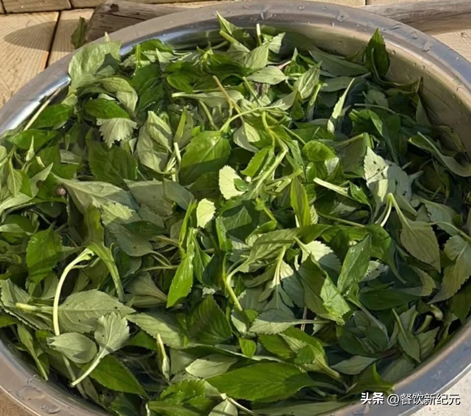 这菜是野菜中的“榴莲”，可惜很多人当草，随手一煮，营养又美味