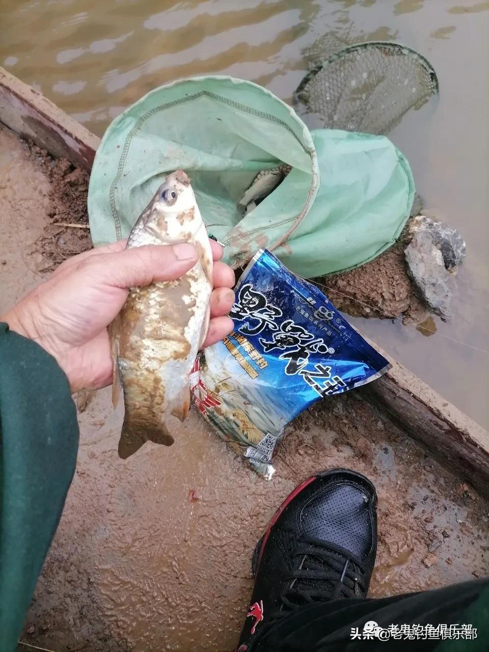 冬季小野河野钓冰钓,冬钓野河大板鲫