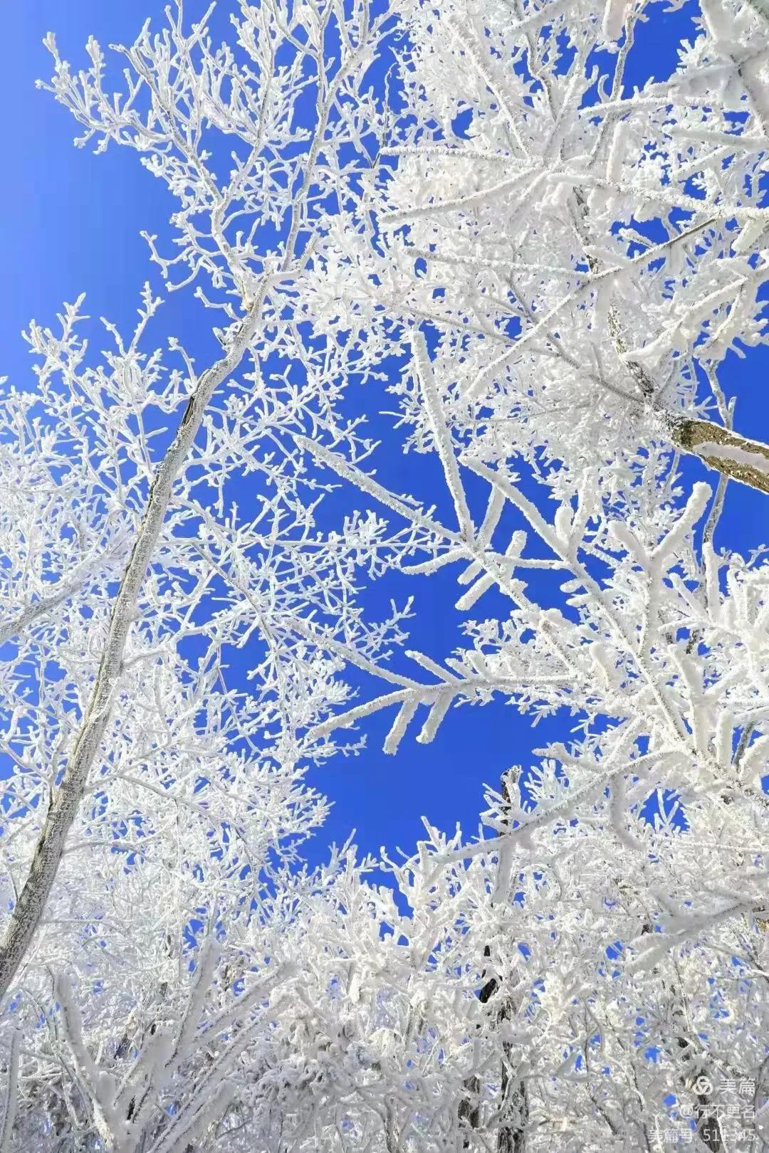 新年文旅大礼包,喜迎新春送豪礼活动