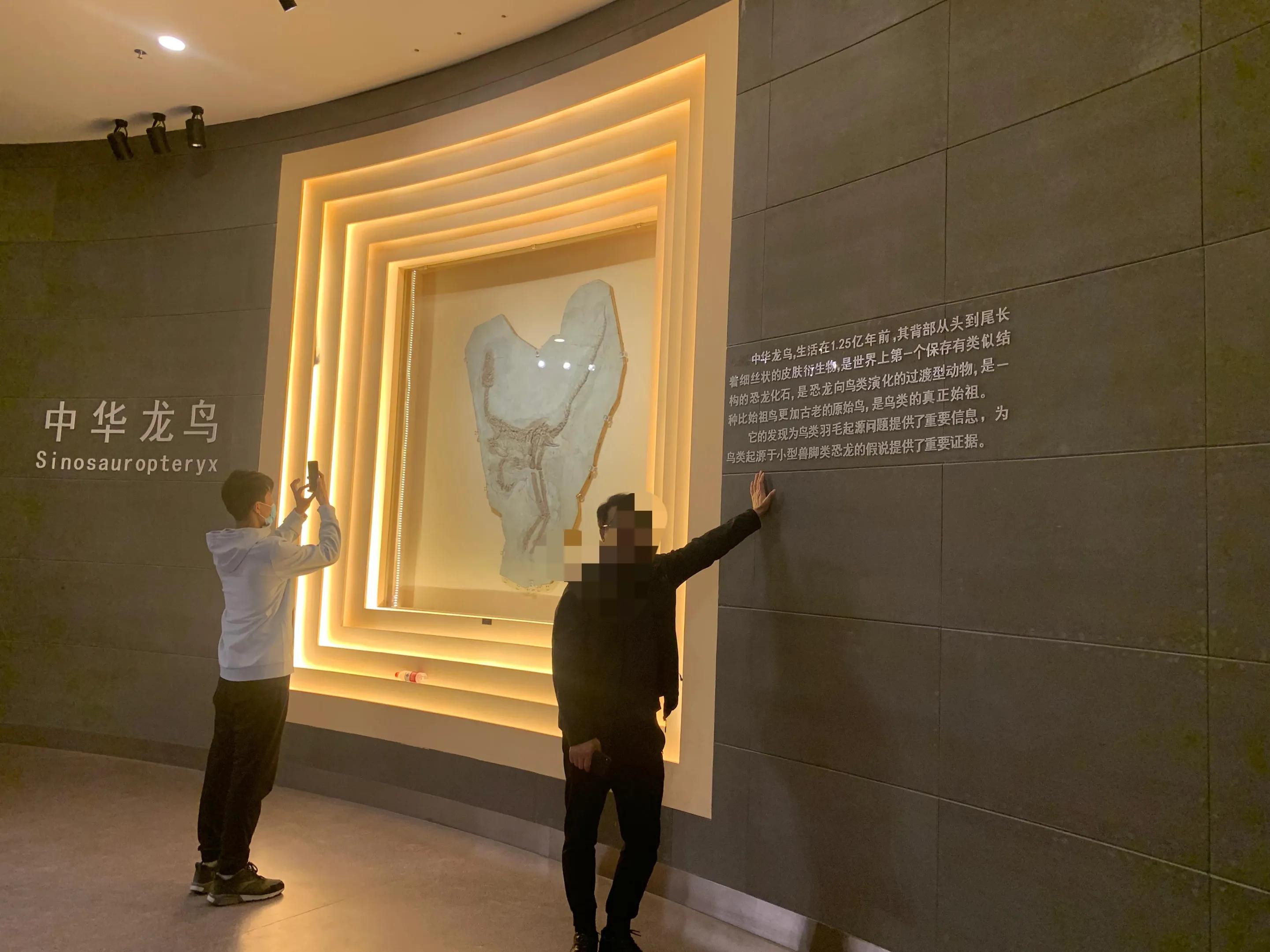 辽西自驾游一日游攻略,辽西自驾游一日游