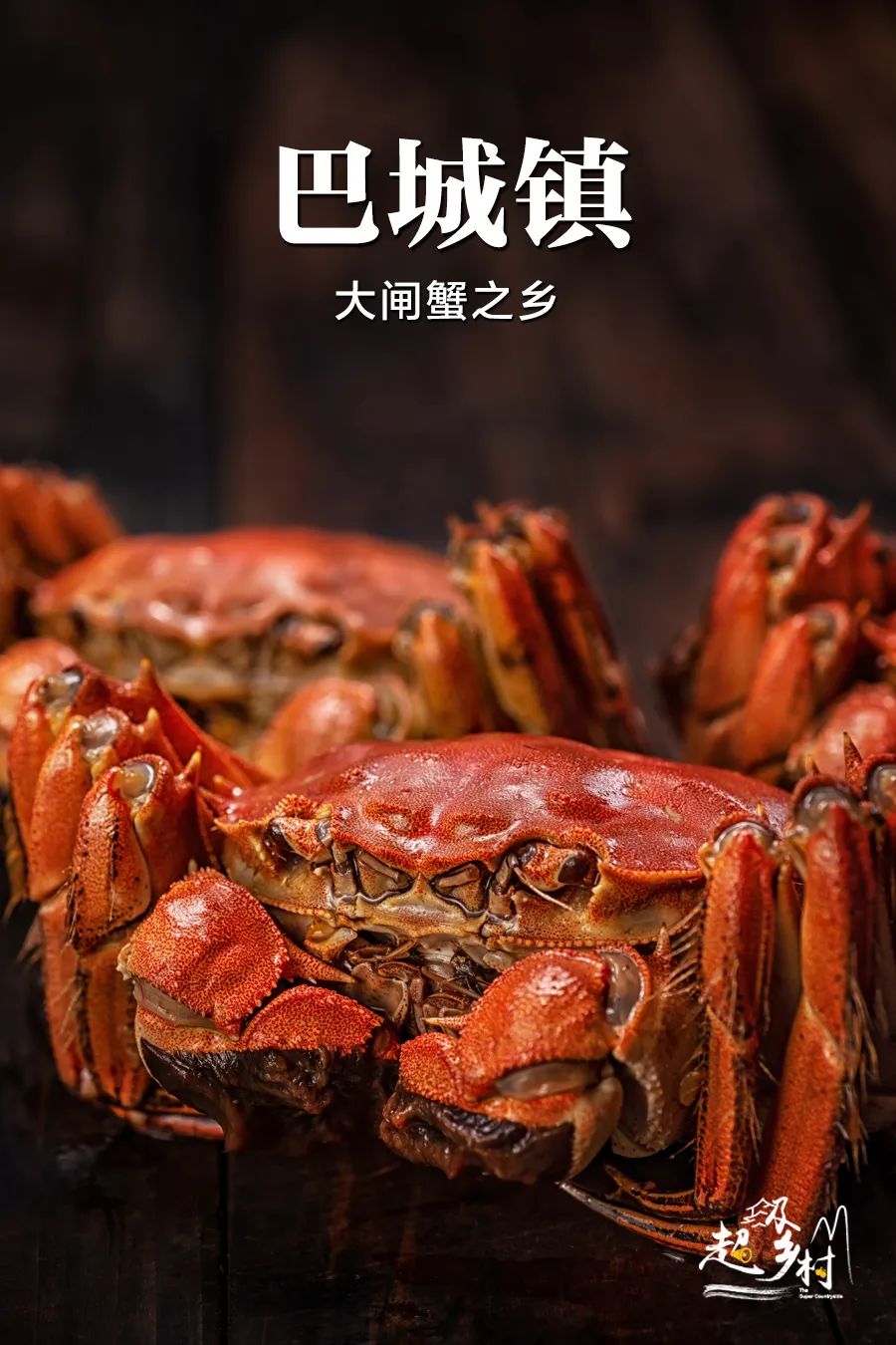 阳澄湖大闸蟹到底有多少真的假的,阳澄湖大闸蟹为什么很多假的