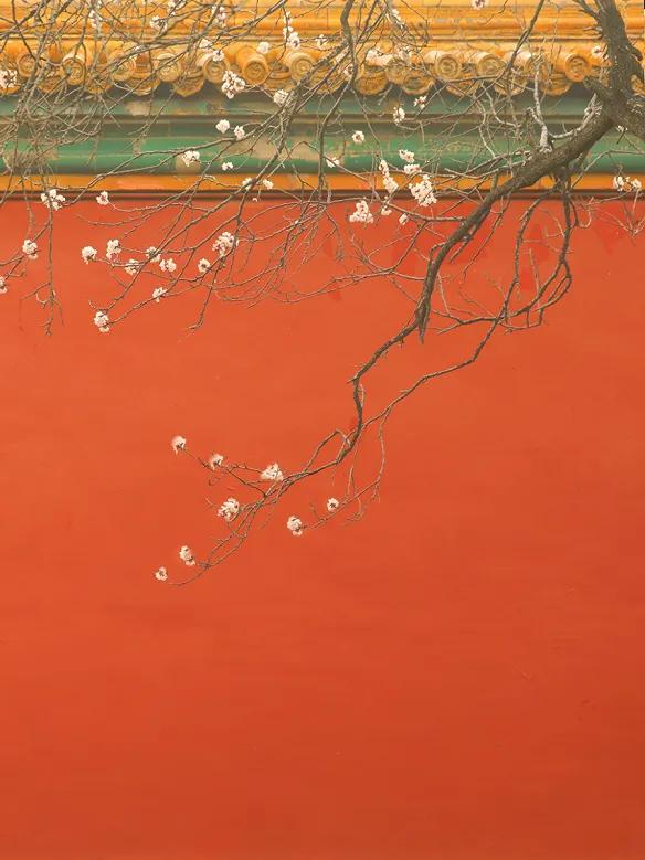 古代表示颜色的字词,古代形容颜色的句子