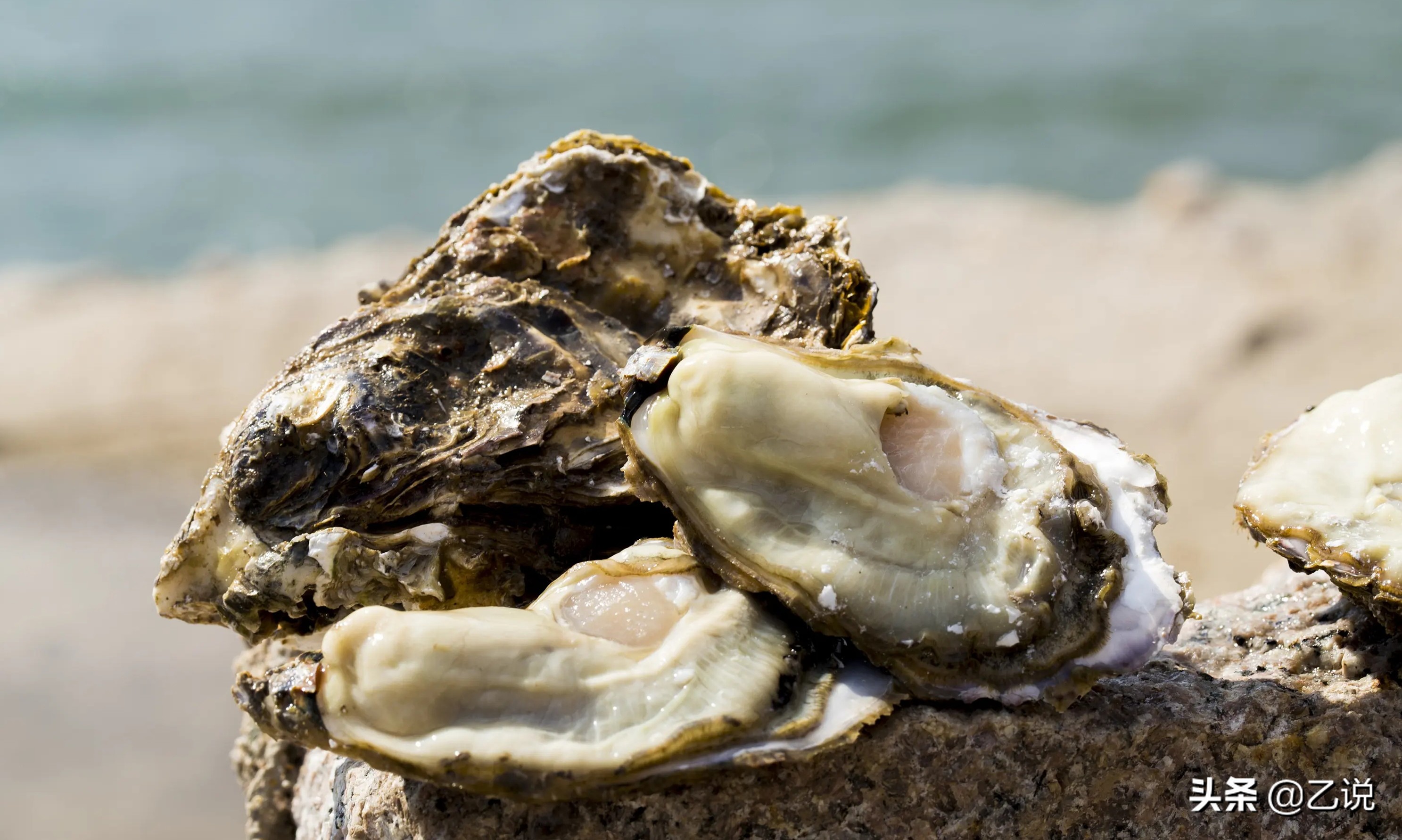 蚝油快没了怎么倒出来,蚝油倒不出来的小妙招