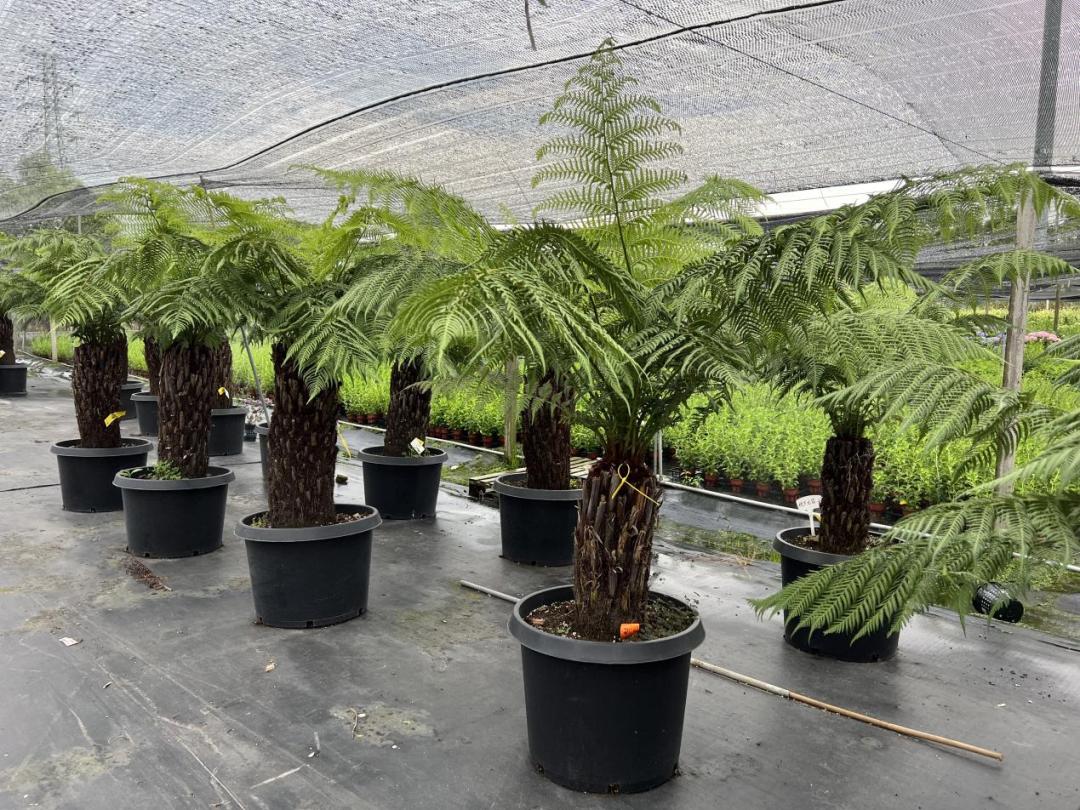 园艺电商怎么做好营销工作,园艺电商怎么做好营销