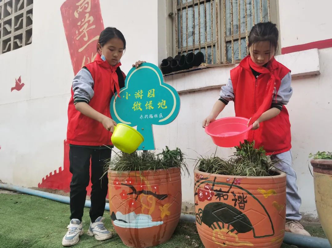 成都天府新区永兴镇小学规划,天府新区永兴小学