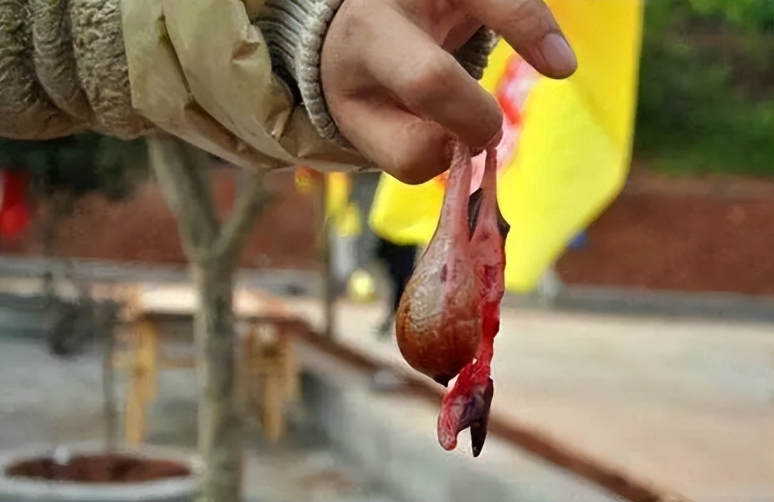 农村俗语中的“四大苦、四大悲、四大愁和四大毒”，分别是指啥？