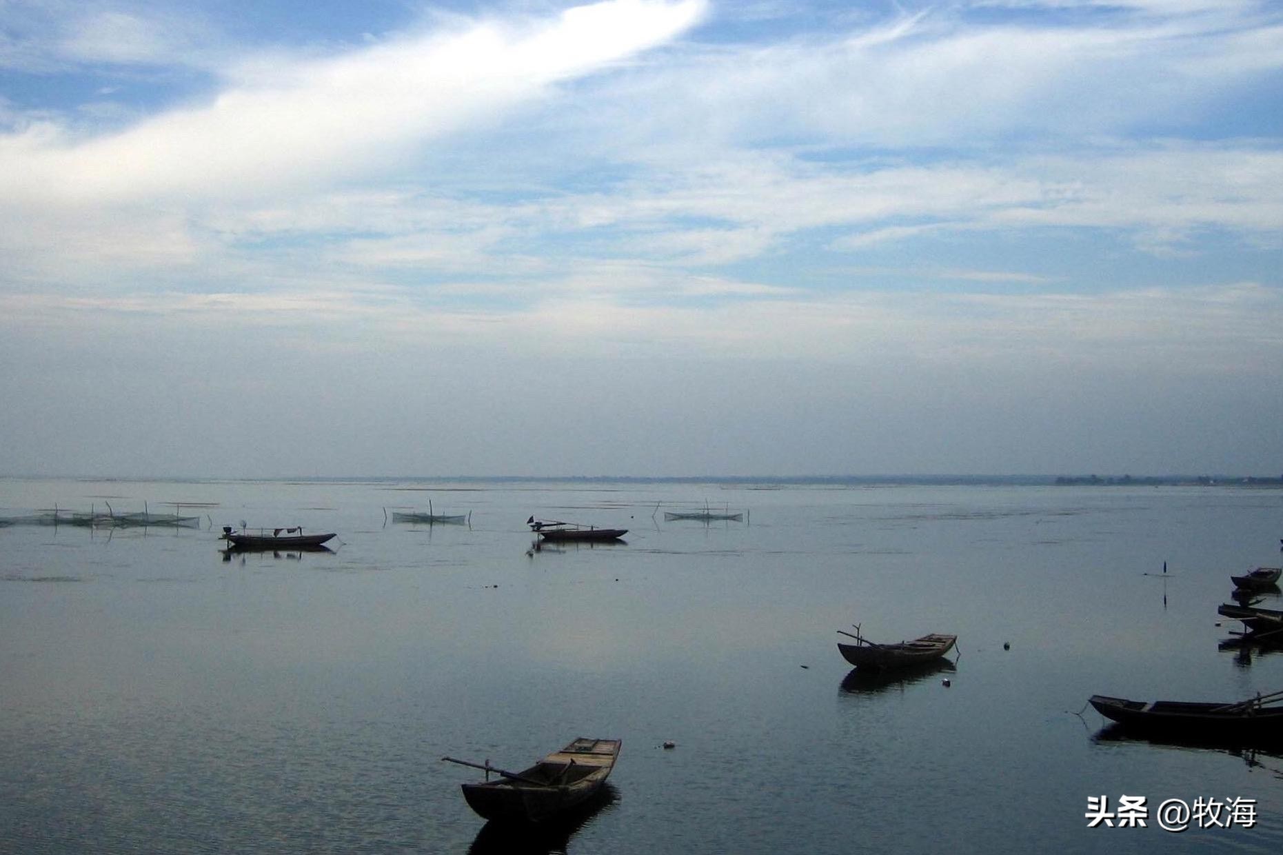 骆马湖菹草爆发原因,骆马湖采砂纪录片