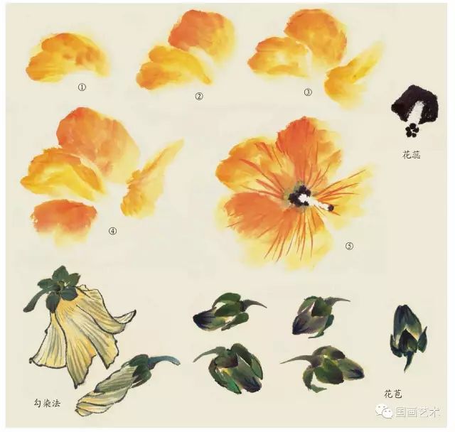 写意丁香花画法,写意鸡冠花的画法教程