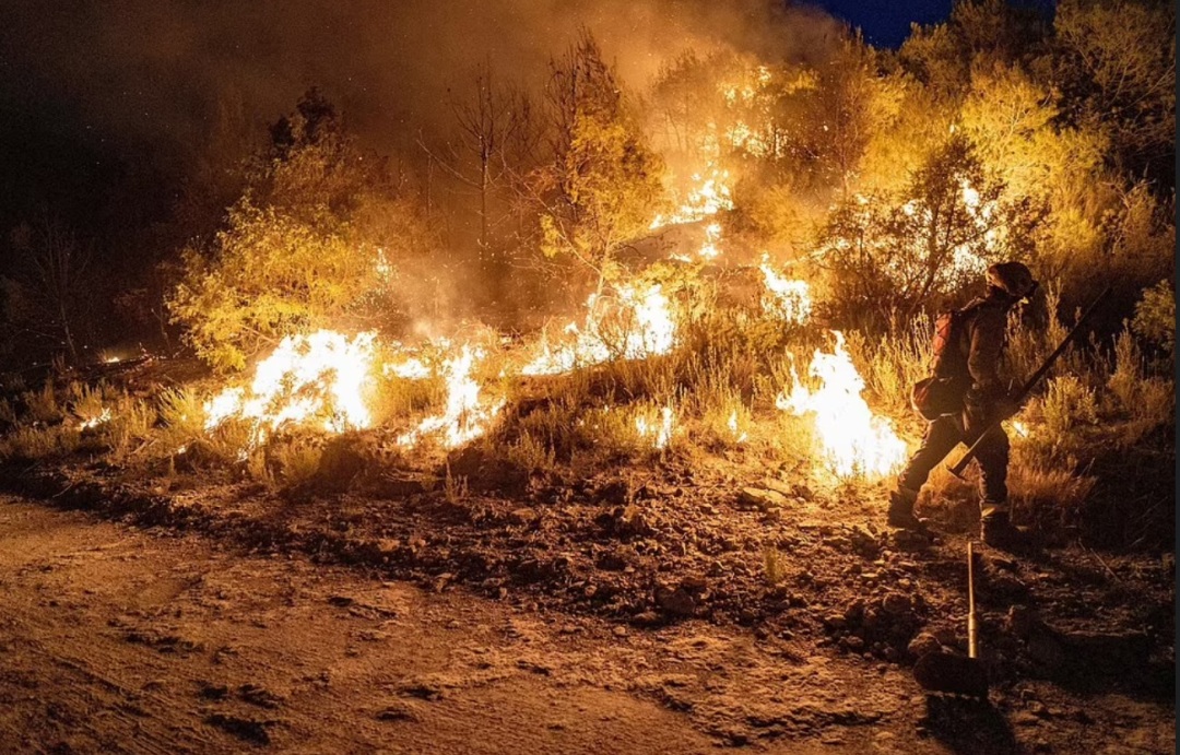 英国40度高温与中国40度高温,英国40度很热吗