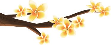 花粉症过敏性鼻炎偏方,花粉症过敏性鼻炎用什么药