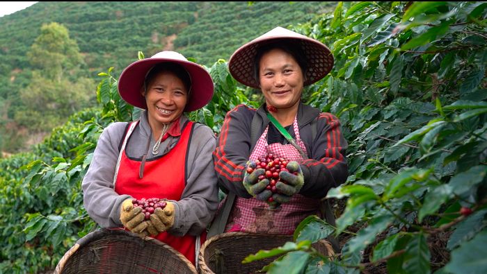 星巴克在美国有多便宜,星巴克在美国是很高端的嘛