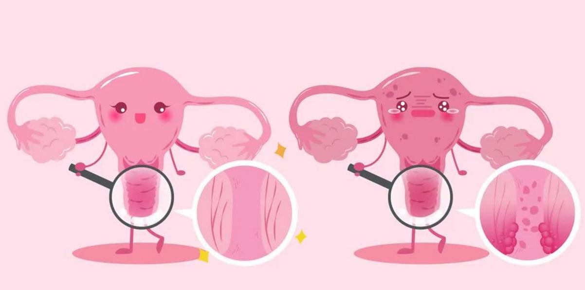 如果不避孕一辈子能生几胎,如果不备孕女子能生多少孩子