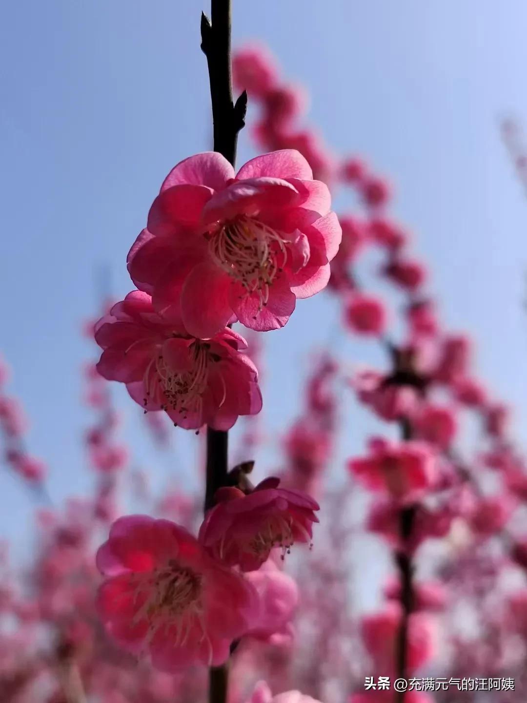 不确定自己是甲流能不能直接吃药,感冒半个月不好加重了是甲流吗