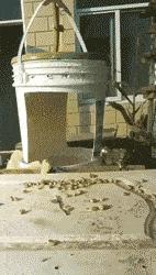 蜂花护发素搞笑视频,蜂花官方旗舰店搞笑评论