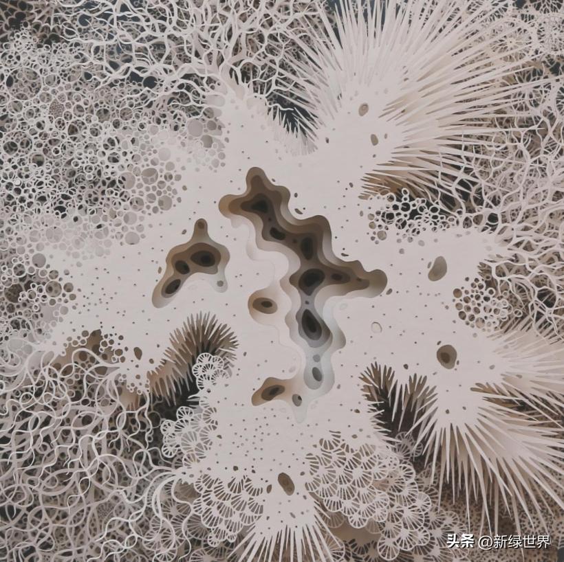 一组纸艺作品,令人惊艳的纸艺作品