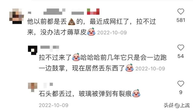 男孩景区遭鹈鹕灌顶,男孩被醍醐灌顶在什么景区