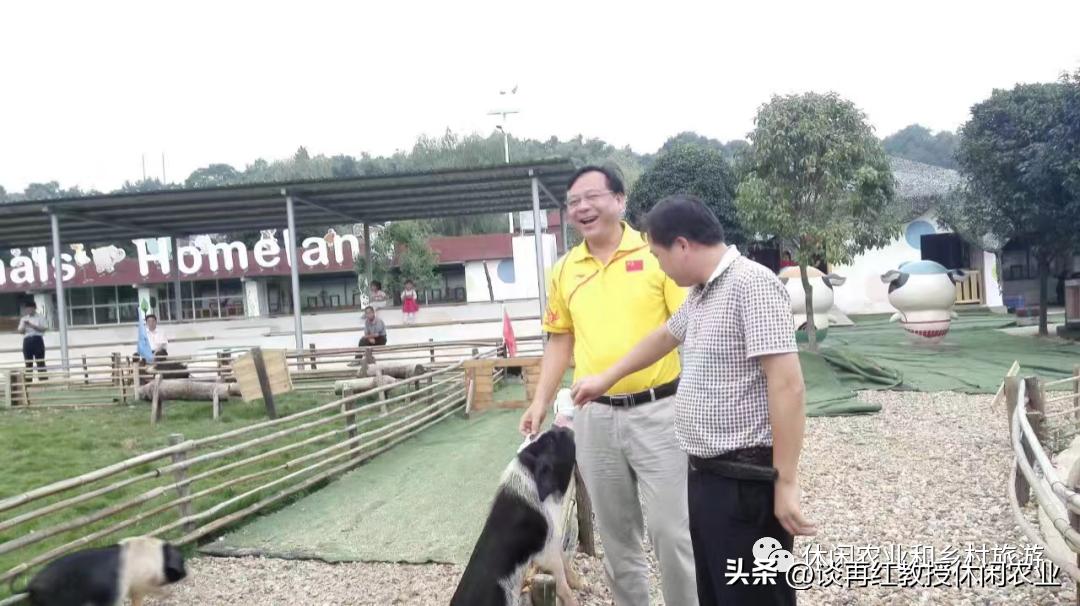 做个农庄靠什么赚钱,为什么农庄越来越难做